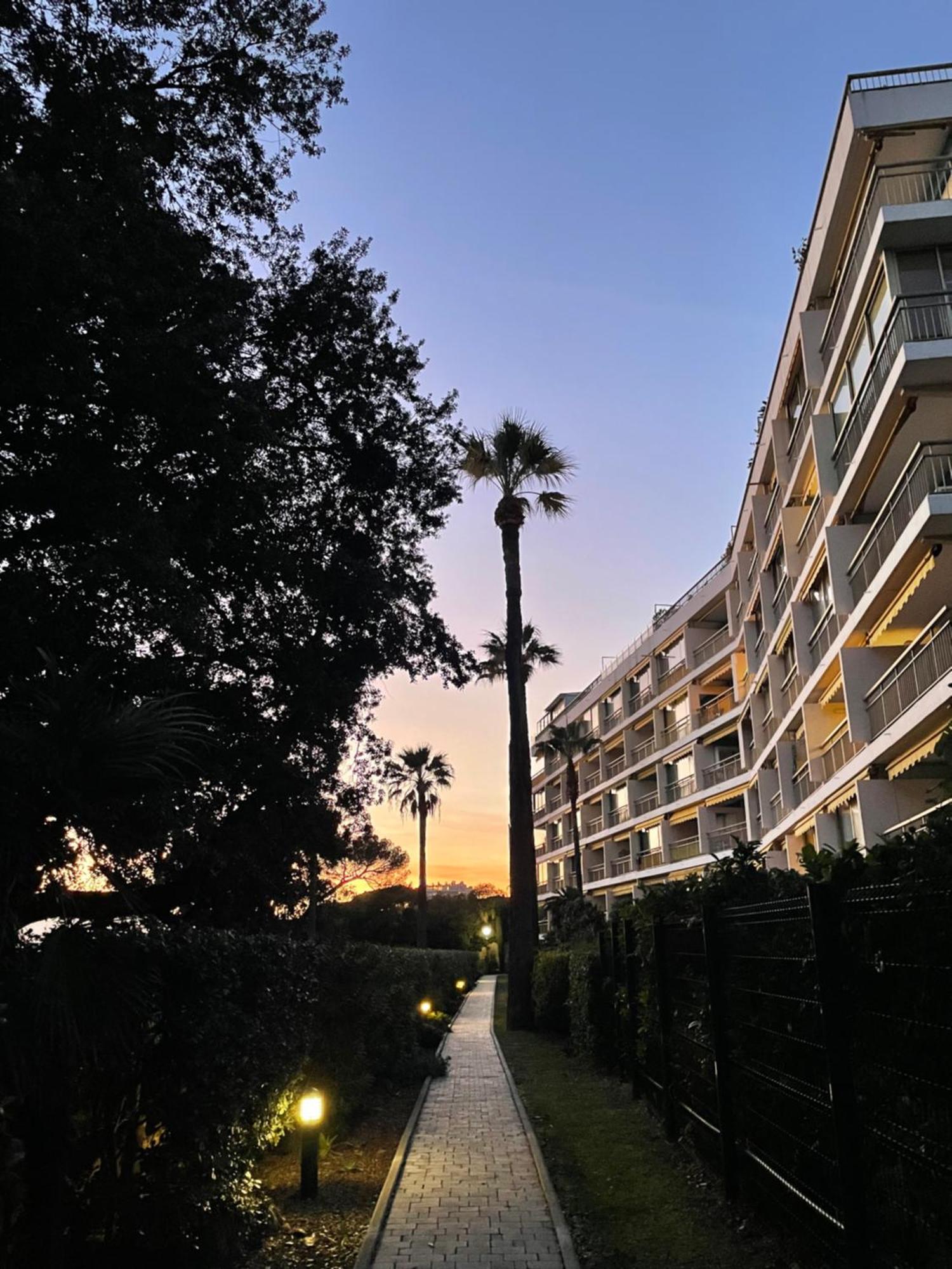 C037-Nice Studio With Garden And Parking - Near Beach Cannes Bagian luar foto